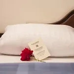 Burg Boetzelaer Hotel 4*