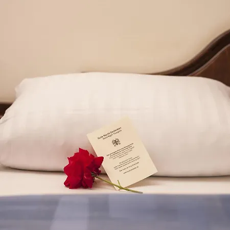 Burg Boetzelaer Hotel 4*