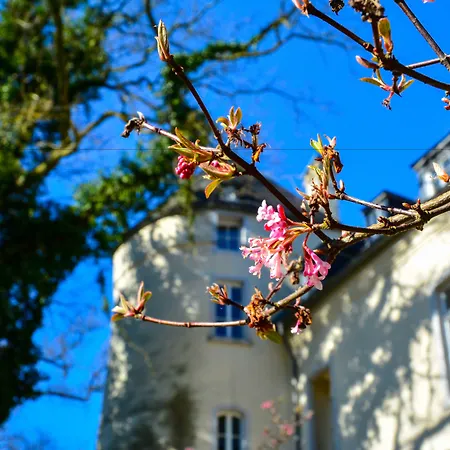 Hotel Burg Boetzelaer 4*