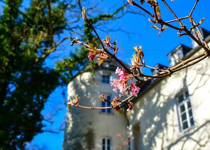 Hotel Burg Boetzelaer 4*